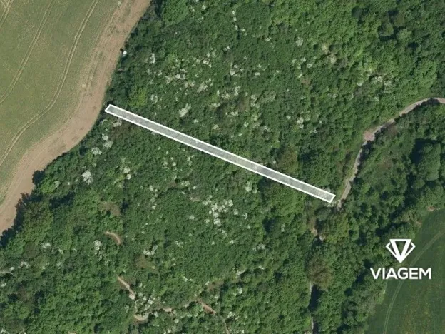 Prodej lesa, Březolupy, 1255 m2