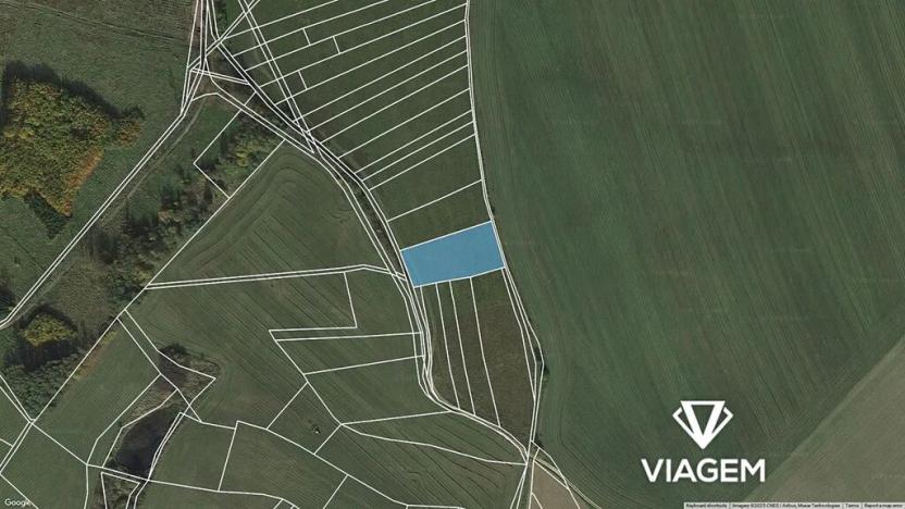 Prodej pole, Nová Říše, 2895 m2