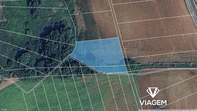 Prodej podílu pole, Bzenec, 579 m2