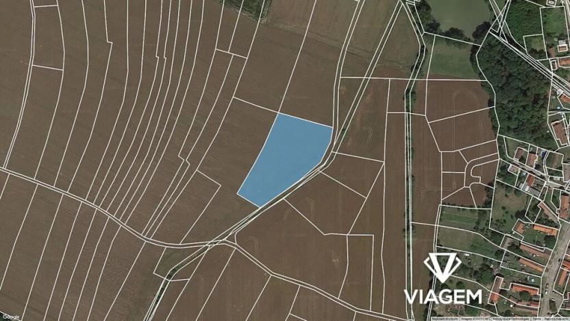 Prodej podílu pole, Jankovice, 3981 m2