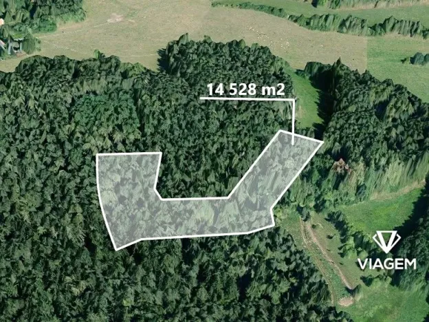 Prodej podílu lesa, Volyně, 2075 m2