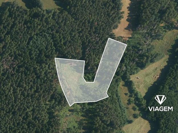 Prodej podílu lesa, Volyně, 2075 m2