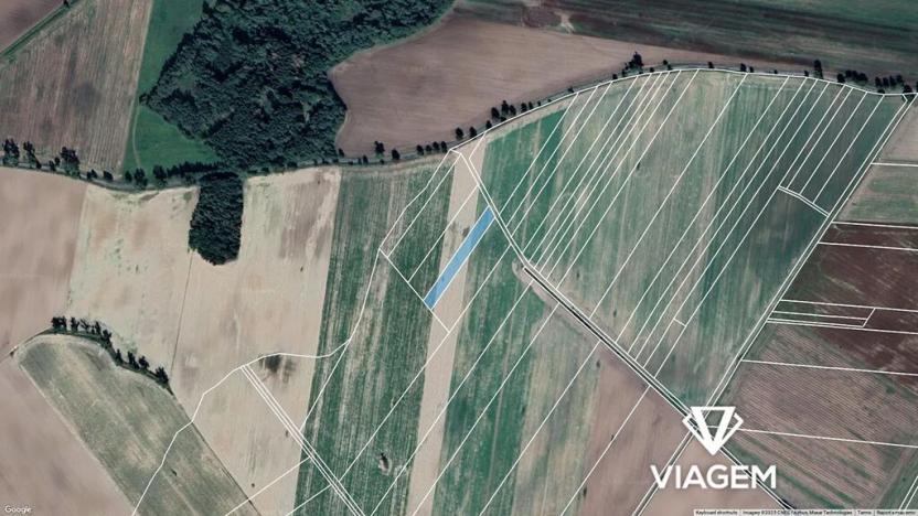 Prodej podílu pole, Veselí nad Lužnicí, 917 m2