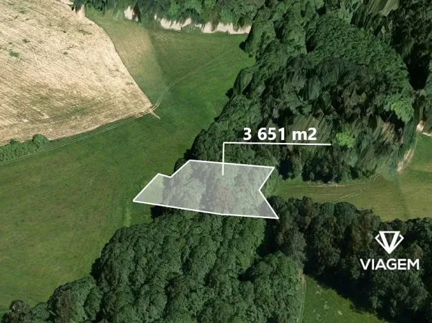 Prodej podílu lesa, Roprachtice, 684 m2