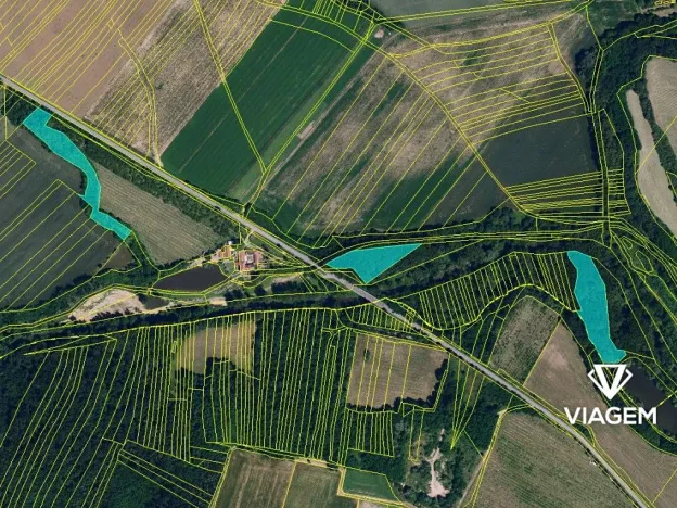 Prodej podílu lesa, Tulešice, 3694 m2