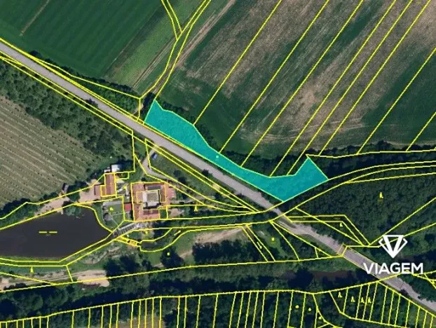 Prodej podílu lesa, Tulešice, 3694 m2