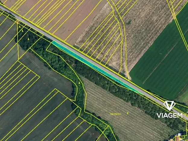 Prodej podílu lesa, Tulešice, 3694 m2