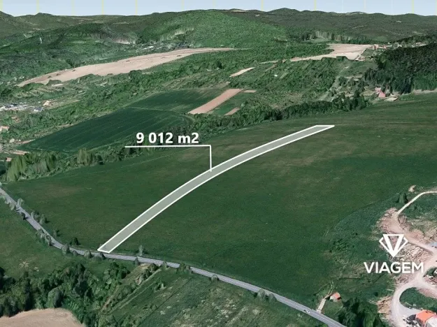 Prodej pole, Medlovice, 9012 m2