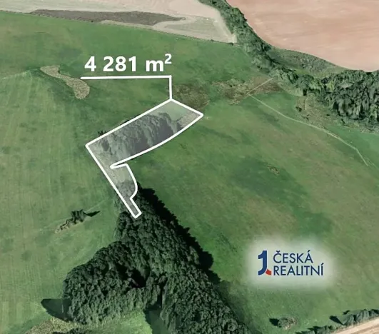 Prodej pole, Pšov, 4281 m2