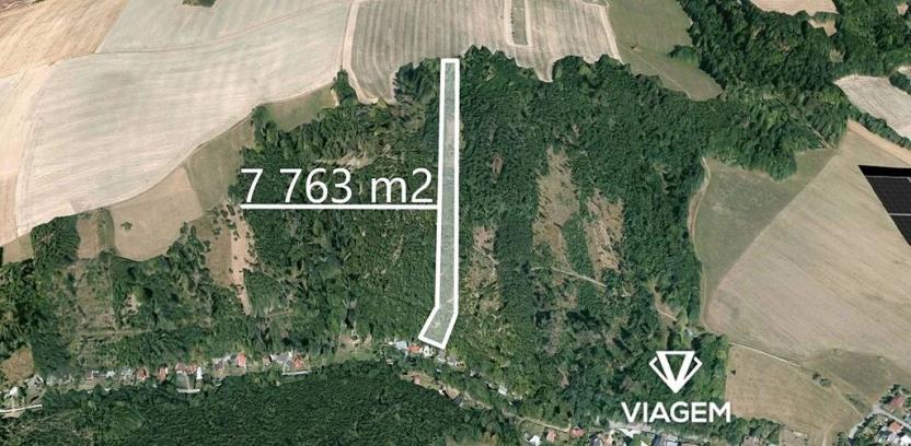 Prodej lesa, Hradec nad Moravicí, 7763 m2