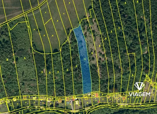 Prodej lesa, Hradec nad Moravicí, 3777 m2