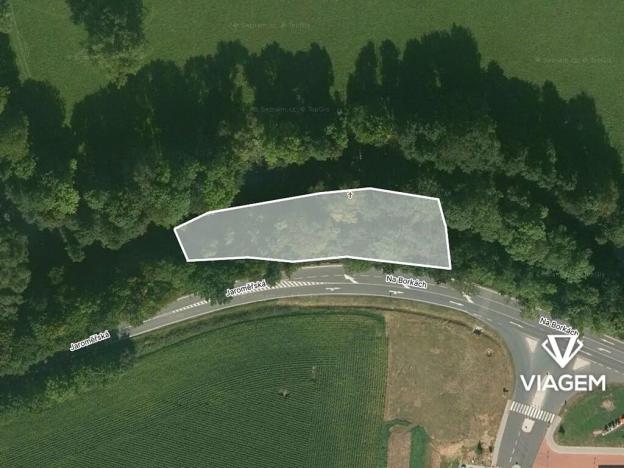 Prodej lesa, Dvůr Králové nad Labem, 1816 m2