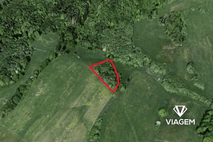 Prodej zahrady, Dolní Habartice, 4238 m2