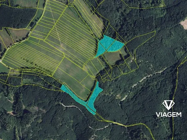 Prodej podílu lesa, Městečko Trnávka, 609 m2