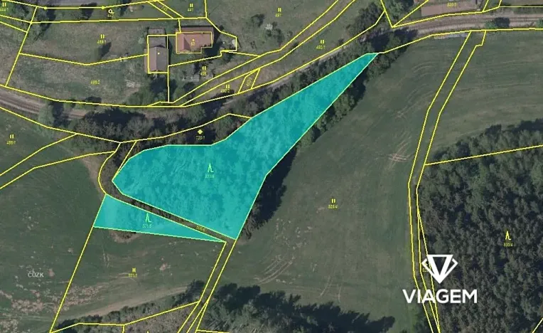 Prodej lesa, Stará Paka, 4641 m2