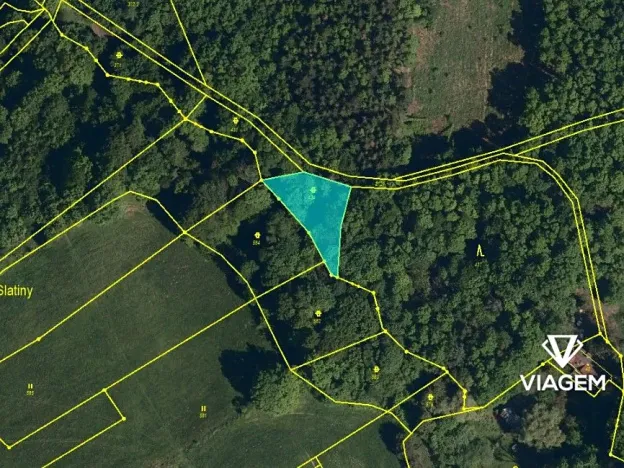 Prodej podílu lesa, Lešná, 311 m2