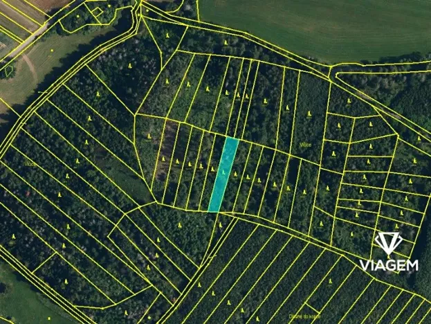 Prodej podílu lesa, Radkovice u Budče, 13191 m2