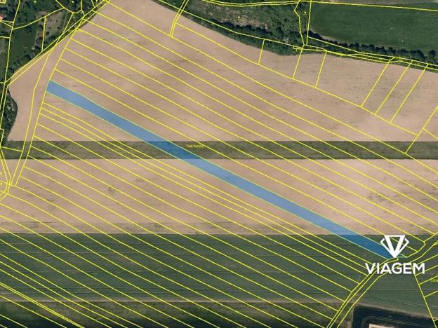 Prodej podílu pole, Medlovice, 1931 m2