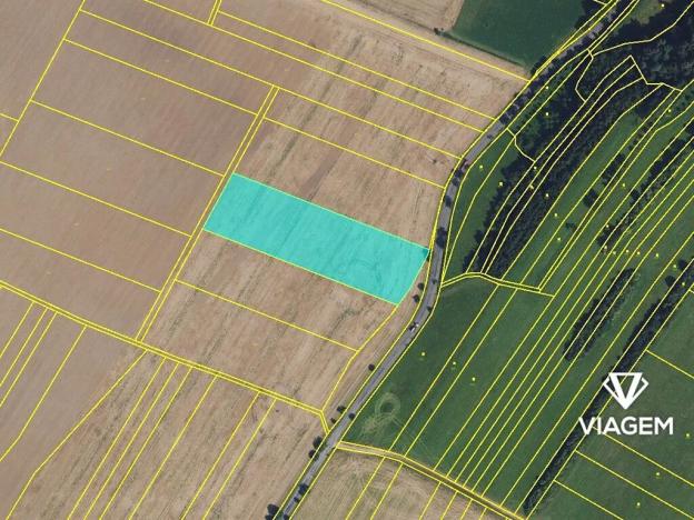 Prodej podílu lesa, Chornice, 2160 m2