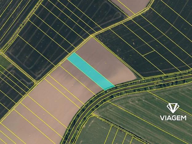 Prodej podílu pole, Věžky, 1032 m2