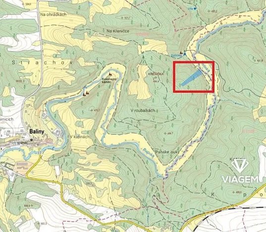 Prodej podílu lesa, Baliny, 3334 m2