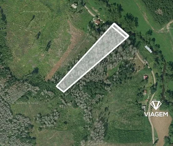 Prodej podílu lesa, Baliny, 3334 m2