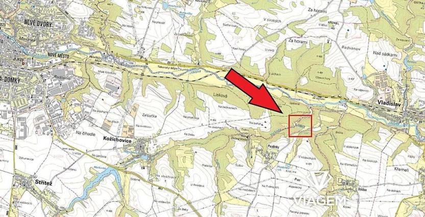 Prodej lesa, Slavičky, 3165 m2