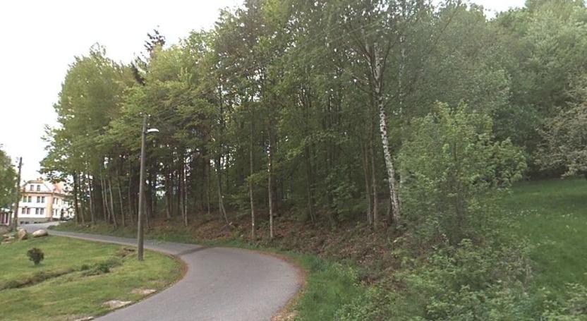 Prodej podílu lesa, Velké Hamry, 2235 m2