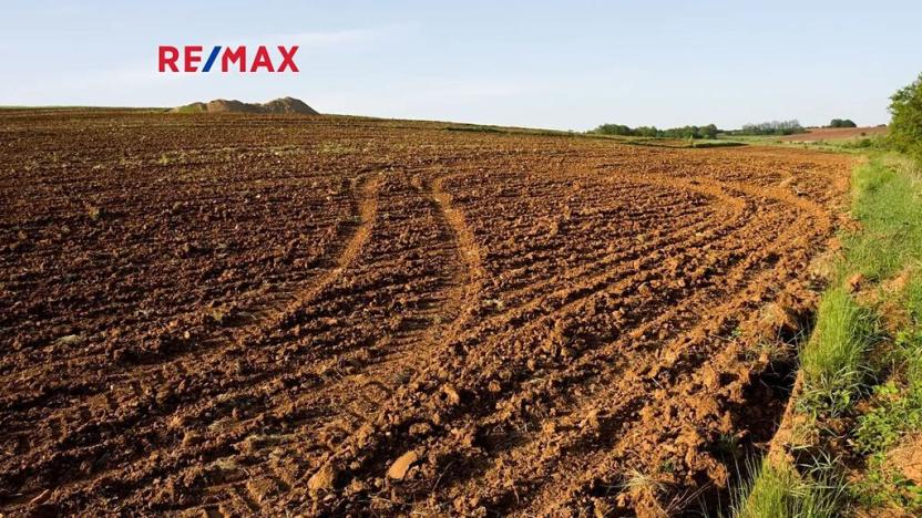 Prodej pole, Kadlín, 528678 m2