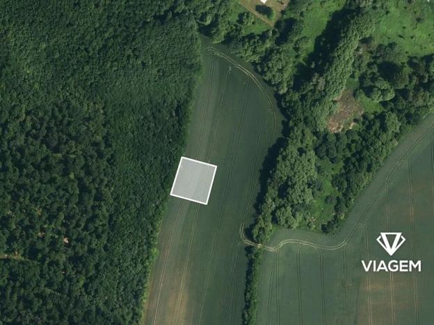 Prodej pole, Kyjov, 1596 m2