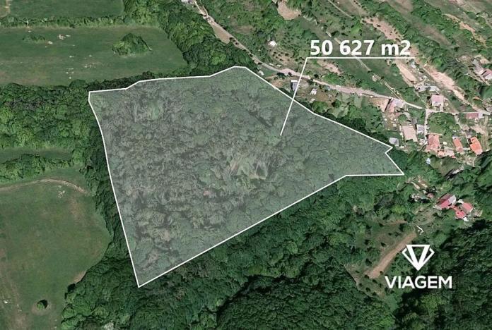 Prodej podílu lesa, Košíky, 8165 m2