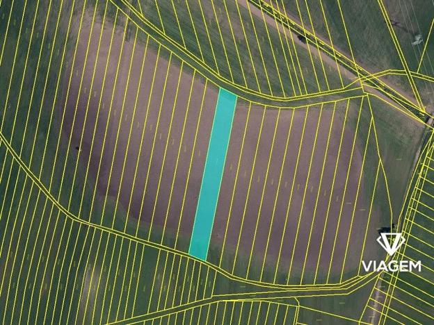 Prodej podílu pole, Brumovice, 1587 m2