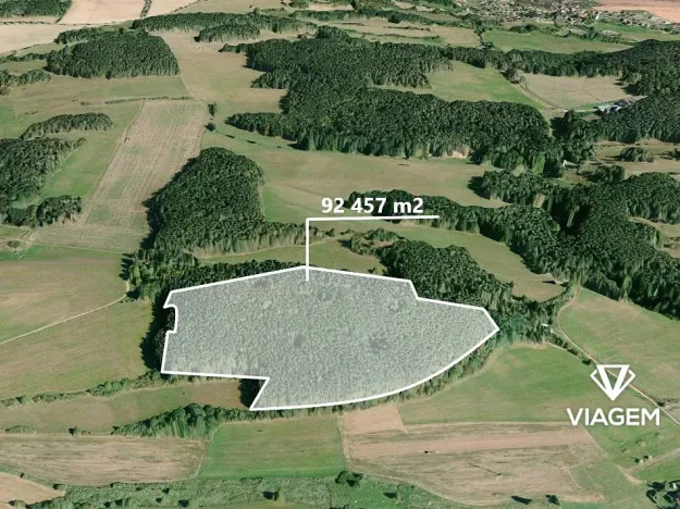 Prodej podílu lesa, Korkyně, 46018 m2