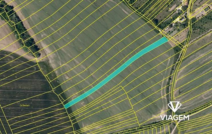 Prodej podílu pole, Svárov, 3487 m2