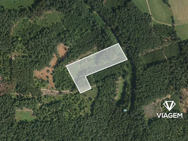 Prodej podílu lesa, Železný Brod, 27889 m2