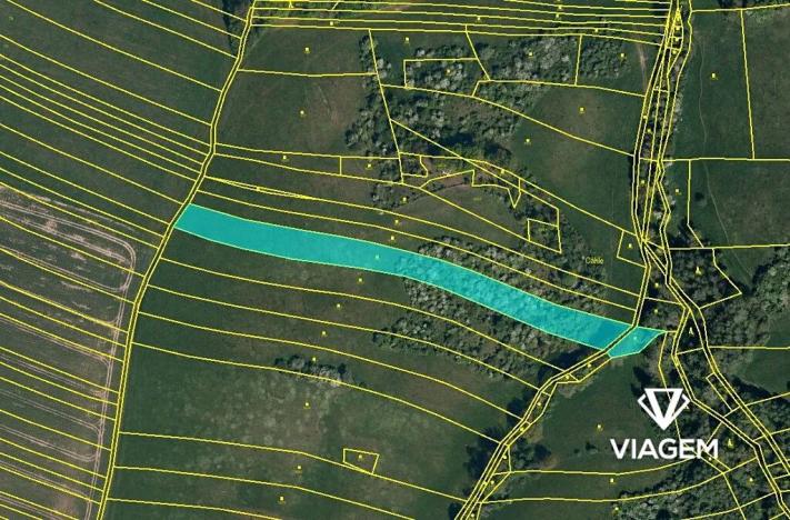 Prodej pole, Částkov, 7110 m2