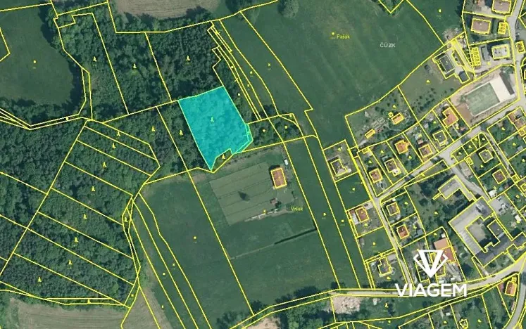 Prodej lesa, Brloh, 3859 m2