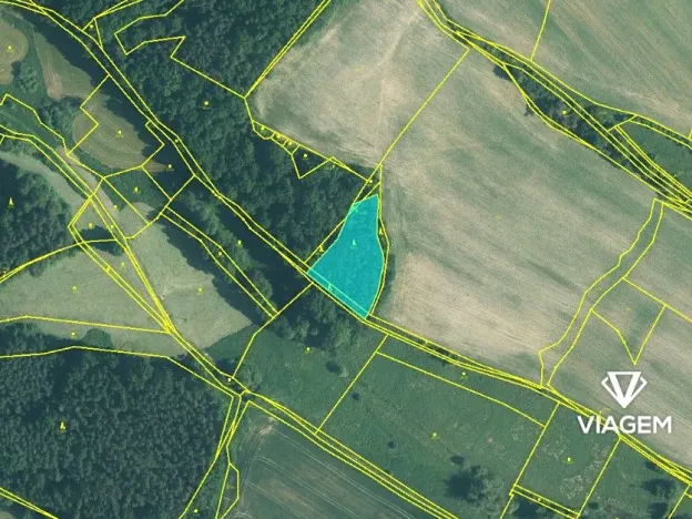 Prodej podílu lesa, Líšťany, 1029 m2