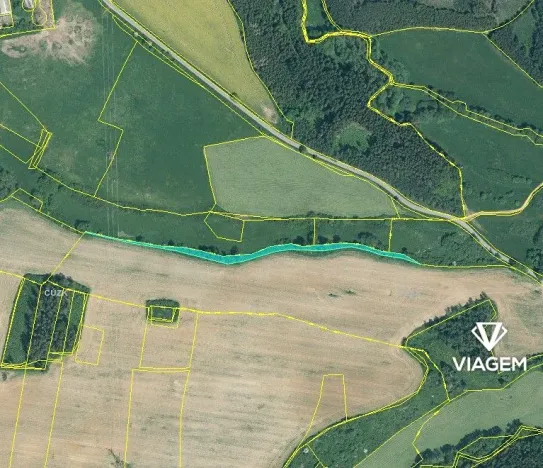 Prodej lesa, Svojšín, 2777 m2