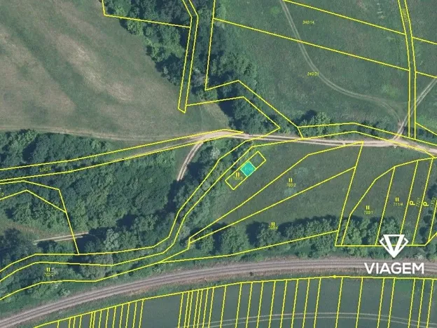 Prodej podílu lesa, Popovice, 736 m2