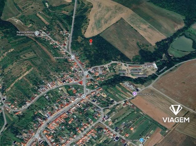 Prodej podílu zahrady, Pašovice, 11619 m2