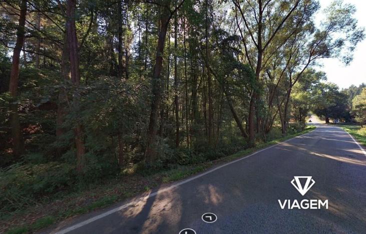 Prodej podílu lesa, Plasy, 478 m2