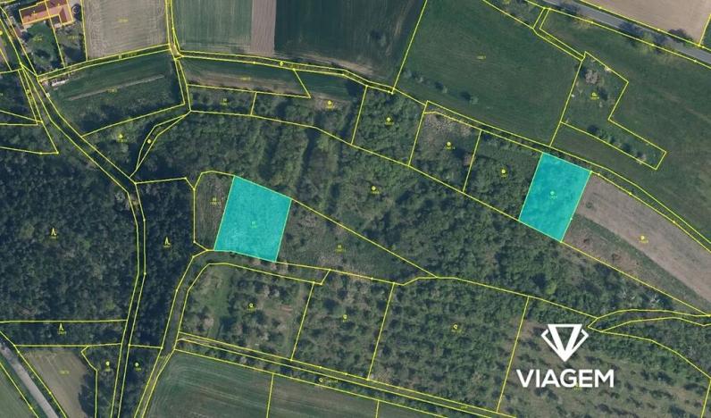 Prodej podílu zahrady, Bechlín, 197 m2