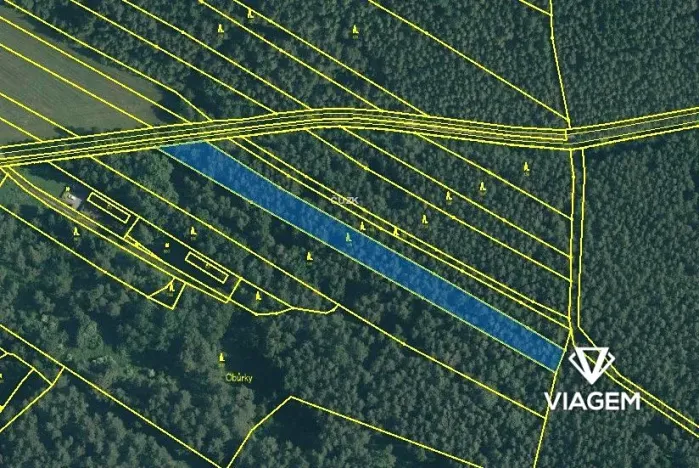 Prodej podílu lesa, Drahov, 2032 m2