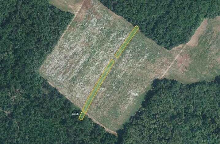 Prodej pole, Silůvky, 21545 m2