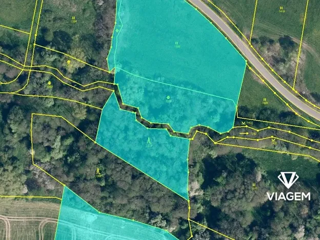 Prodej podílu lesa, Kravaře, 854 m2