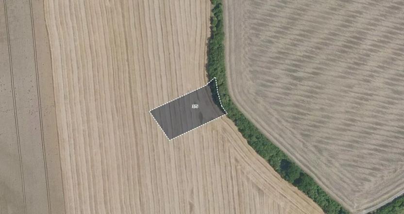 Prodej pole, Jíkev, 5187 m2