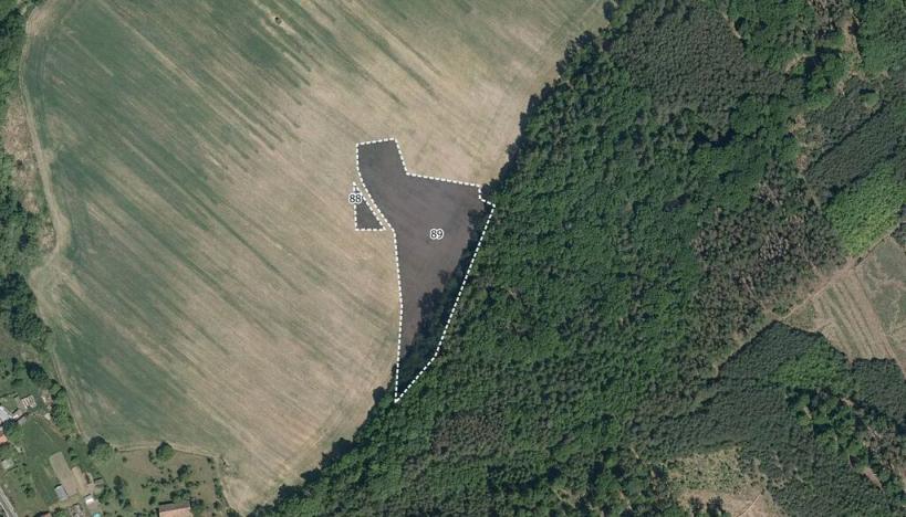 Prodej pole, Morašice, 8621 m2