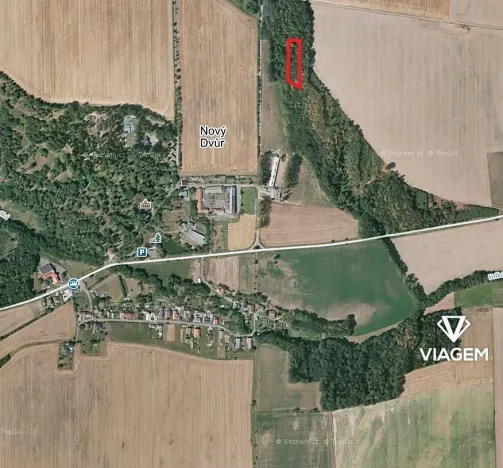 Prodej podílu lesa, Stěbořice, 741 m2