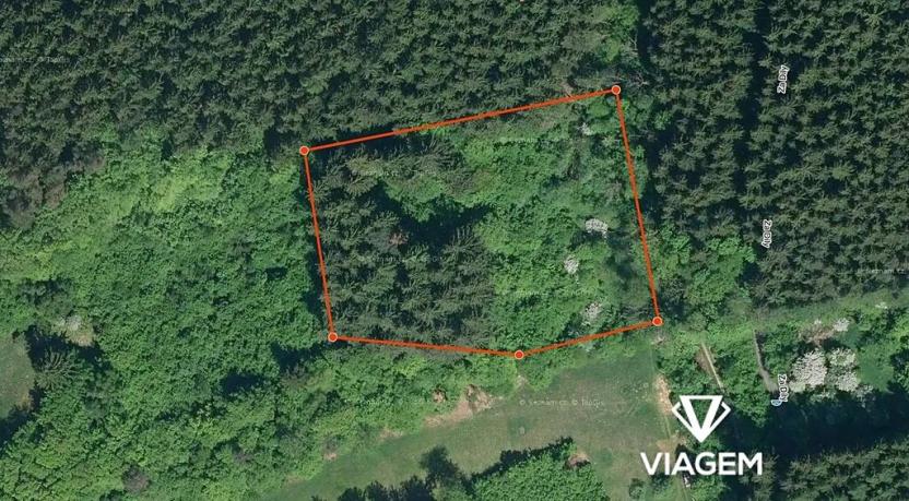 Prodej podílu lesa, Vsetín, 349 m2